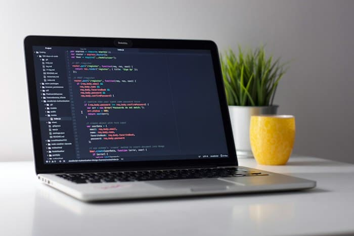 Laptop on a tidy desk with a plant