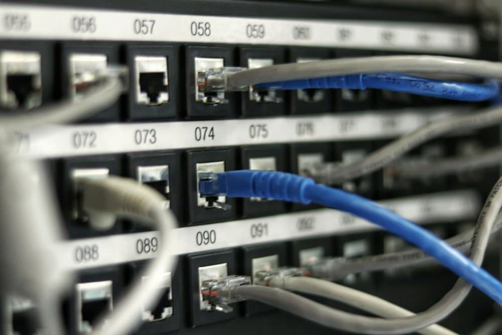 Network cables connected to a server switch